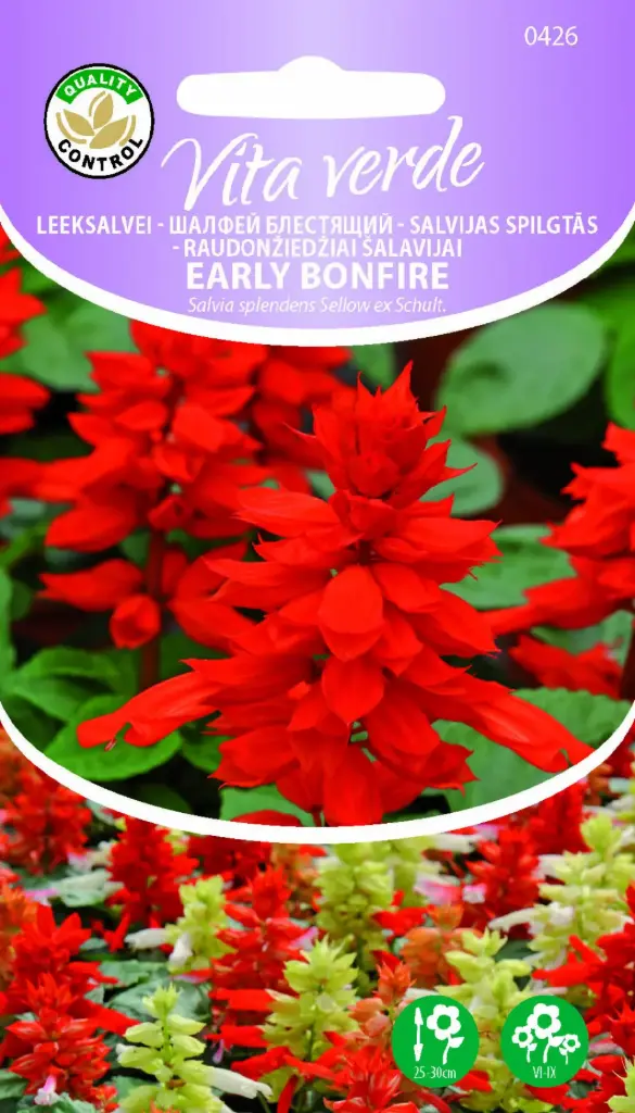 Leeksalvei 'Early Bonfire' 0,15g
