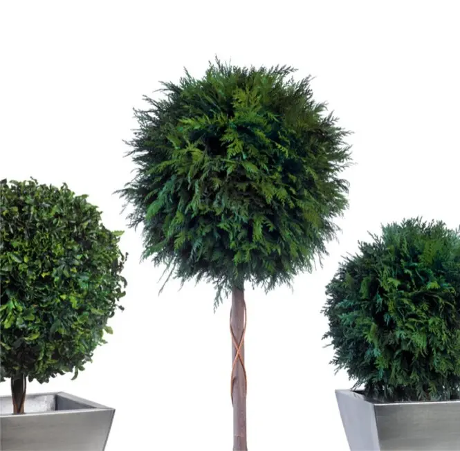Luuderohi-1 pall d45 140cm