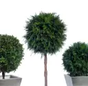 Luuderohi-1 pall d45 140cm