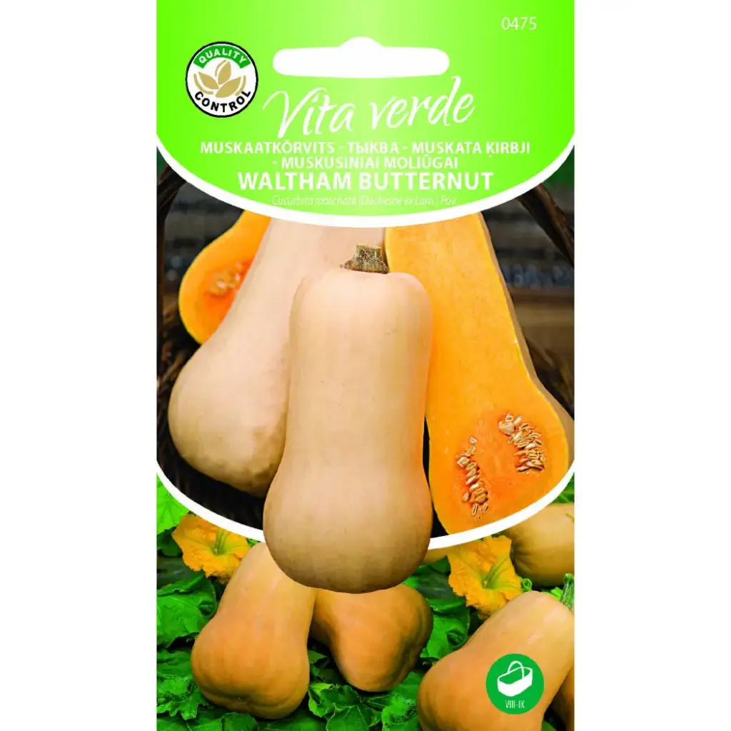 Muskaatkõrvits 'Waltham Butternut' 1g