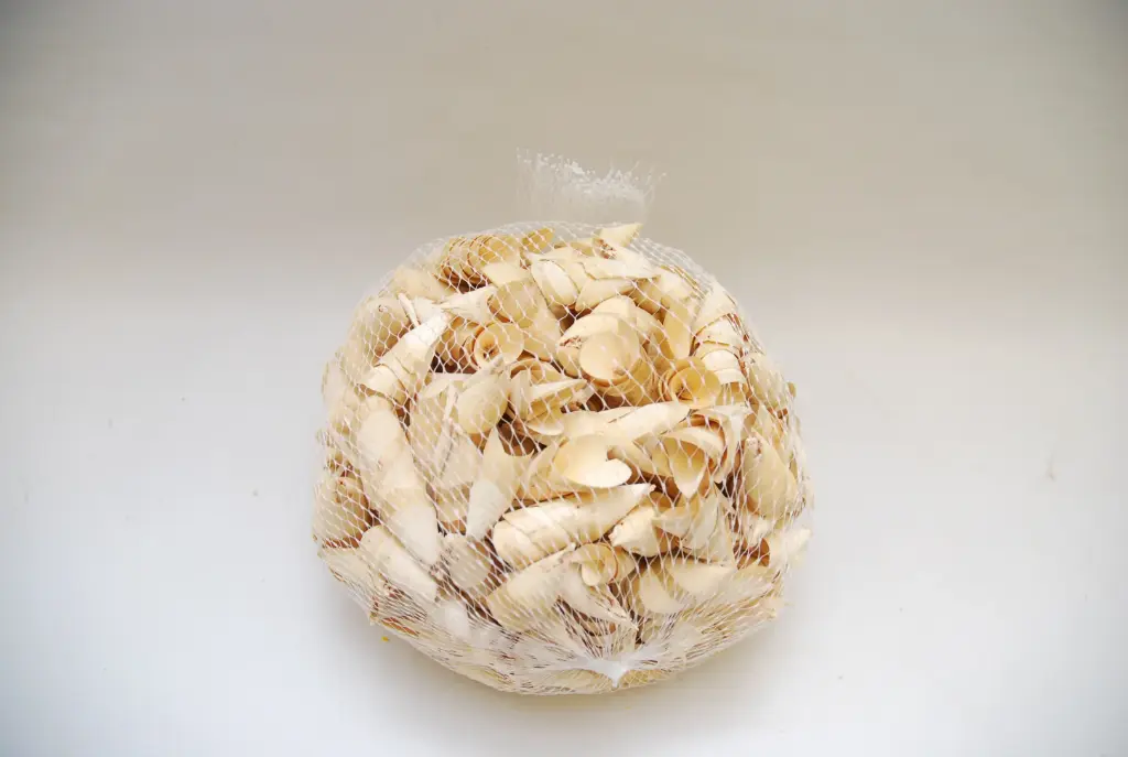 Wood petals 150gr naturaalne
