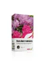 Rodoväetis Baltic Agro karbis 1kg