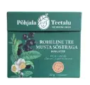 Roheline tee mustasõstraga 23g