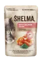 Shelma lõhefilee/spirulinakastmes 85g