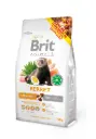 Sööt tuhkrule Brit Animals 700g