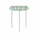 Taimede (pojengide) ringtugi 40cm diamx H60cm