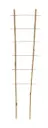 Taimeredel bambus 2 haru 150cm