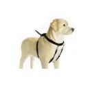 Traksid Gentle Walker M