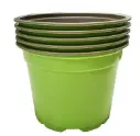 Ümarpott h9,6cm d13cm roheline 5tk
