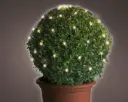 Valgusvõrk pallile 50cm 80LED õue