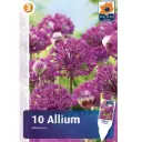 Aflatuni lauk  10tk 10/12