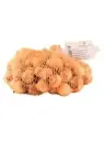 Ajatussibul  STUTTGARTER RIESEN 26/+ 0,5 kg