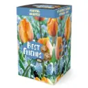 Best Friends Box 'Royal Grapes' mix 20tk