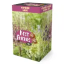 Best Friends Box 'Spider Love' mix 4tk