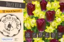 Dolce Vita' mix 10tk