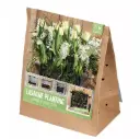 LASAGNE PLANTING WHITE' 40tk