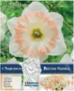 Nartsiss 'British Gamble' 5tk 12/14
