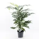 Sulgjas nõelköis Baltic Blue 17Ø 60cm