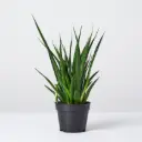 Tihe havisaba Friends 14/45cm