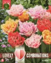Tulp 'Combipack DOUBLE CRIS MIX' 12tk 11/12
