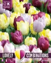 Tulp 'Combipack YELLOW, PURPLE, LILAC' 15tk 11/12