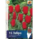 Tulp 'Red Hunter' 15tk 6/+