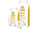 Brit Care Mini Hair & Skin 2kg