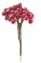 Marjad Mae 50cm tikul