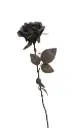 Kunstlill roos 'Black' 73 cm