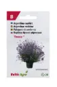 Argentiina raudürt 'Finesse'®   