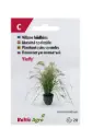 Hiidhirss 'Fluffy'