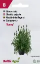 Jänesesaba 'Bunny'
