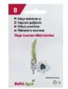 Kukekannus 'Magic Fountains White Dark Bee'