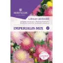 Lõhnav ambralill (lõhnav muskusjumikas) Mix 1g