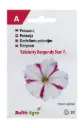 Petuunia 'Celebrity Burgundy Star'