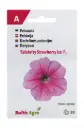 Petuunia 'Celebrity Strawberry Ice'
