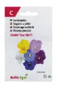 Sarvkannike 'Admire® Clear' F1