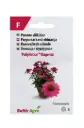 Siilkübar 'PollyNation™ Magenta'