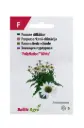 Siilkübar 'PollyNation™ White'