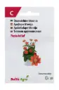 Titoonia  'Fiesta del Sol'