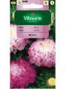 Hiina aedaster Anielka printsess 