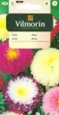 Hiina aedaster pojeng