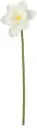 Kunstlill nartsiss 50cm valge