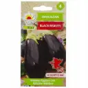Baklazaan BLACK BEAUTY 1g