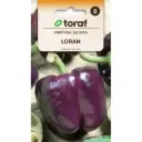 Maguspipar LORAN 0,3 g