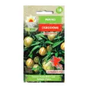 Melon-maavits 10 s.