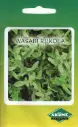 Metsik rukola WASABI