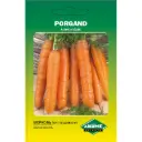Porgand AMSTERDAM; 4 g