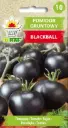 Tomat BLACKBALL 0,3 g