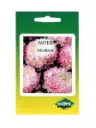 Aedaster DUCHESSE roosa 0,3g